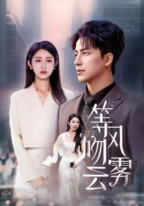 长街灯火 热播电视剧全集手机免费在线观看